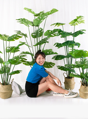 仿真绿色植物龟背叶龟背芋仿生假植物盆栽摆件客厅室内落地装饰仿