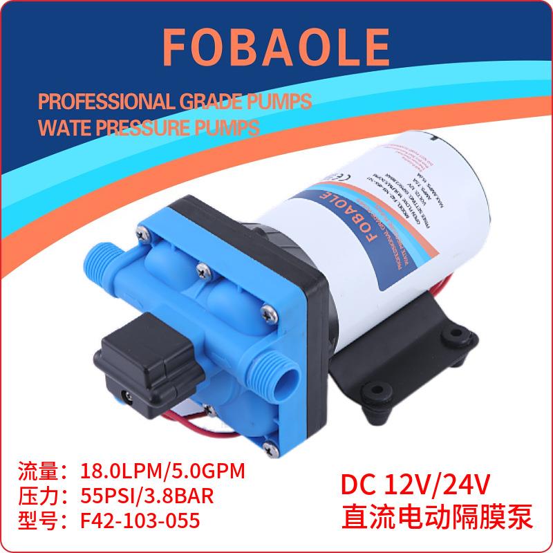 微型直流电动高压隔膜泵24V喷雾器洗车灌溉18升12V自吸增压抽水泵