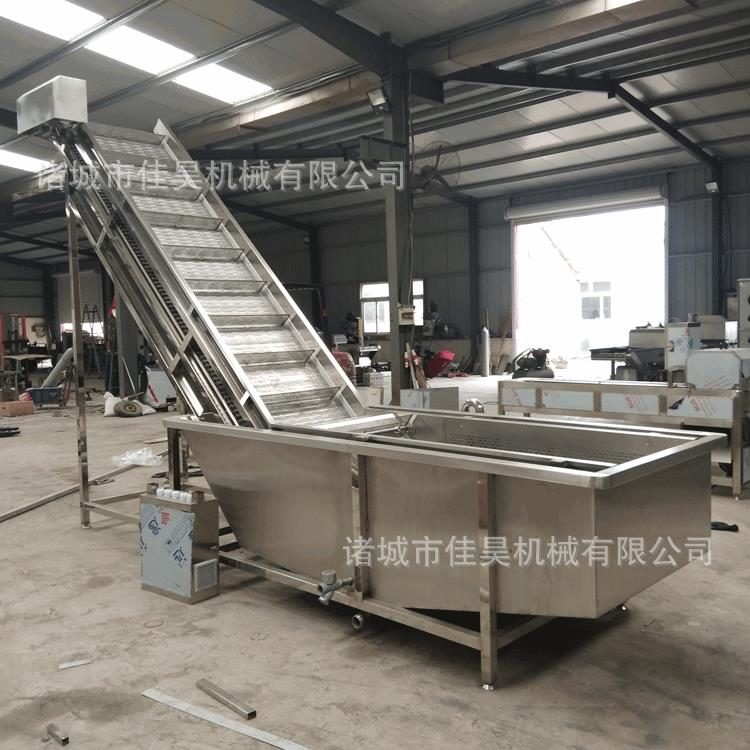 气泡毛豆清洗机全自动水果蔬菜清洗机草莓苹果去杂质果蔬清洗机