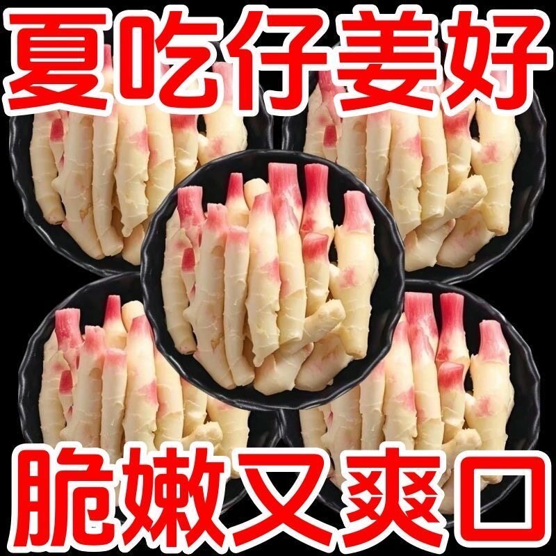 【今年头茬仔姜】新鲜泡子姜四川正宗老坛泡菜手工脆爽开胃泡仔姜