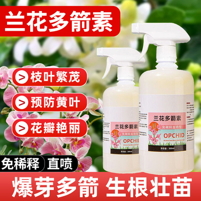 兰花多箭素专用营养液君子兰催花爆芽兰灵王多剑素蝴蝶兰开花肥料