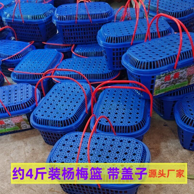 4斤装塑料水果篮草莓篮杨梅篮樱桃篮鸡蛋篮手提方篮子胶框带盖子