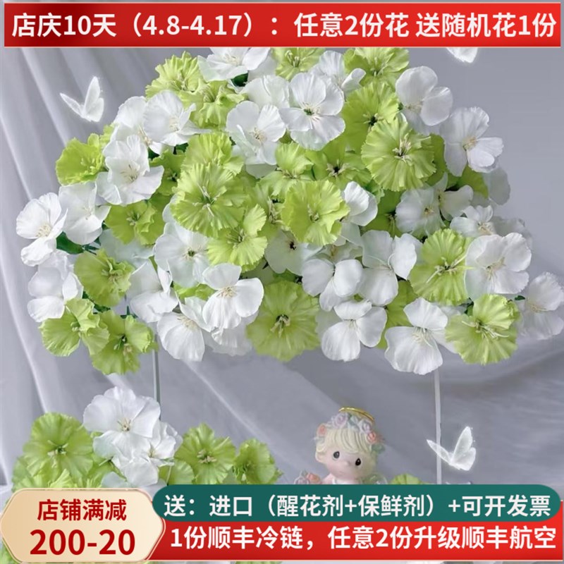 鲜花多头康乃馨娑罗蜜儿多丁云南昆明斗南鲜花市场直发水养插花