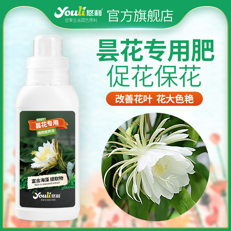 悠利昙花肥料专用肥有机复合肥料促开花保花盆栽家用养花营养液