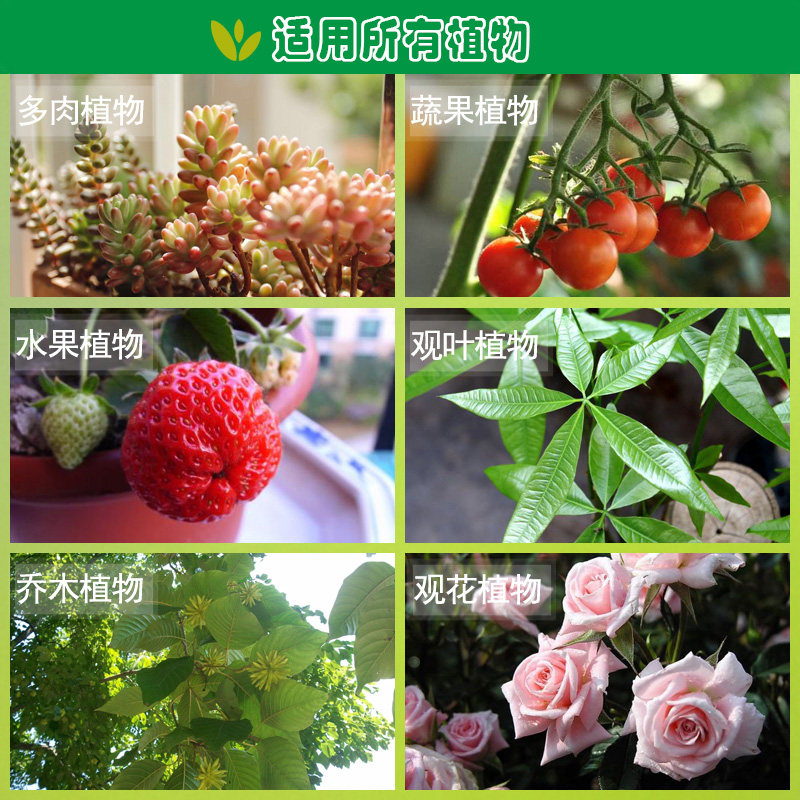 美乐棵园艺植物花卉多肉水培有机肥绿萝盆栽养花通用型肥料营养液