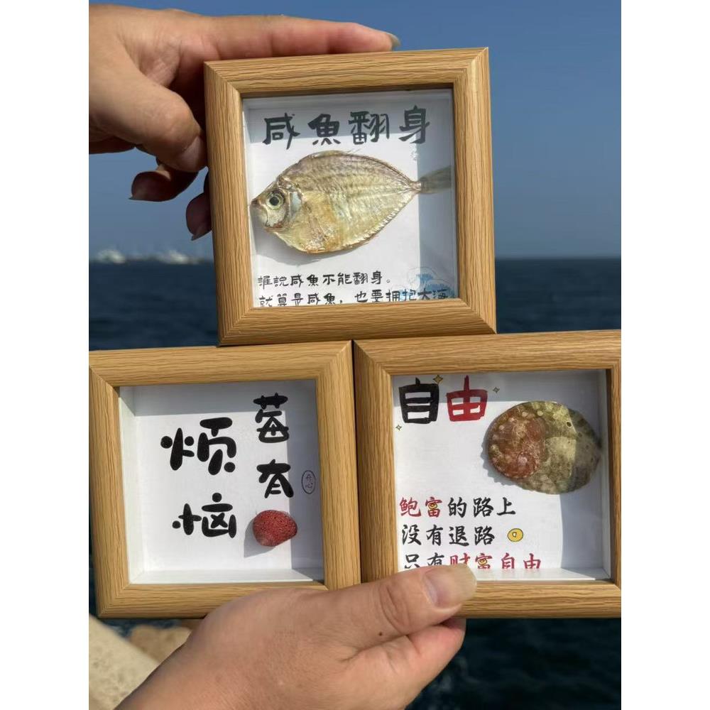 天然海螺贝壳咸鱼海参鲍螃蟹标本相框摆件海边纪念品文创礼品礼物