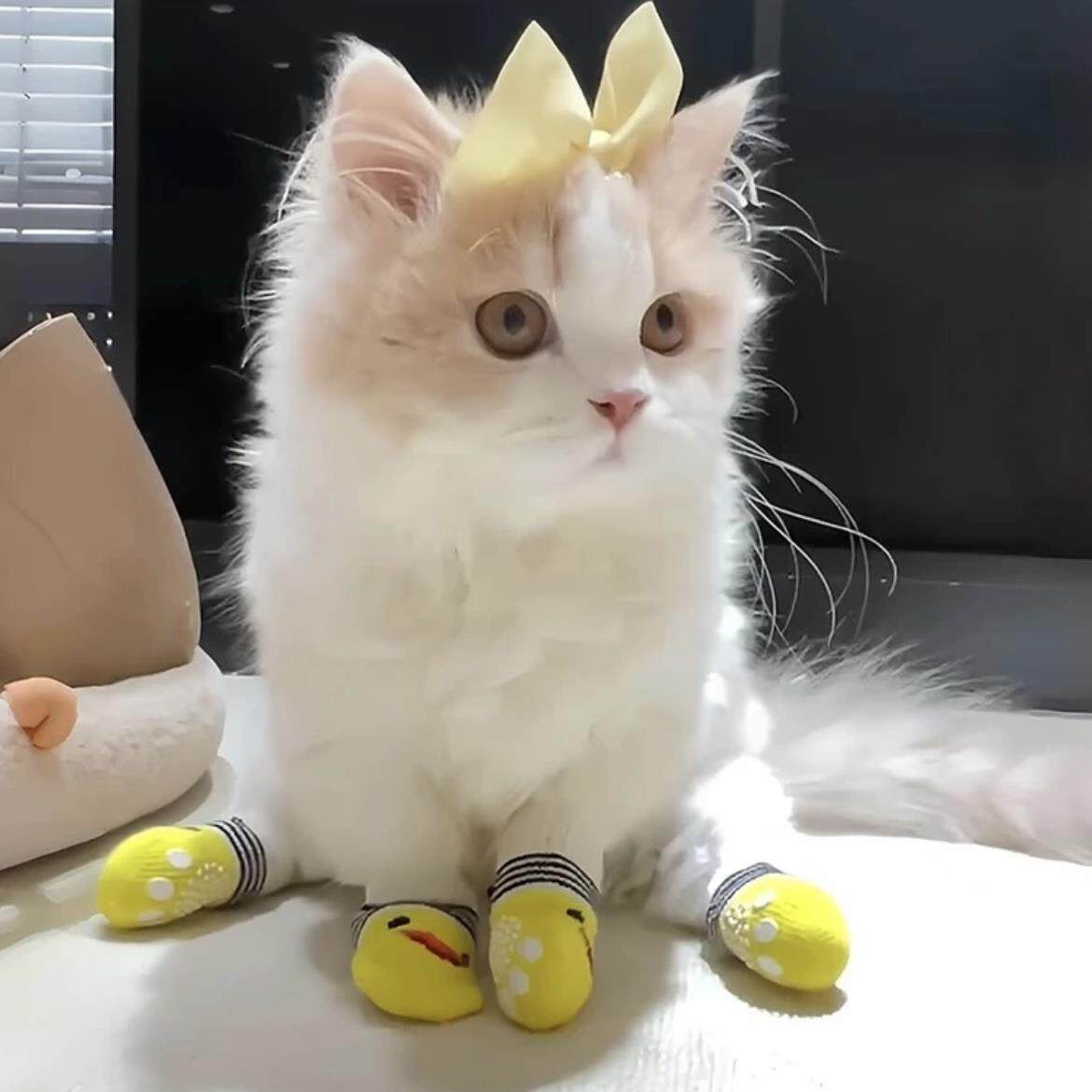 猫鞋子防抓猫脚套猫手套爪子爪套防挠宠物专用沙发保护猫穿的袜子