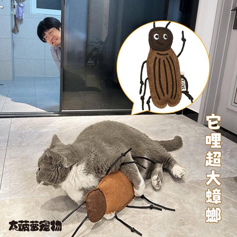 TALI它哩昆虫系列猫薄荷响铃玩具耐咬毛毡磨牙可爱蟑螂瓢虫蜻蜓