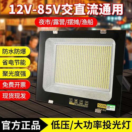 LED低压投光灯户外防水电瓶地摊投射灯12V24V36V船用直流电瓶300W