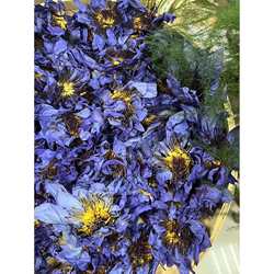 九品蓝莲花干花睡莲花茶睡莲干花泡茶低温烘焙香味浓郁埃及睡莲