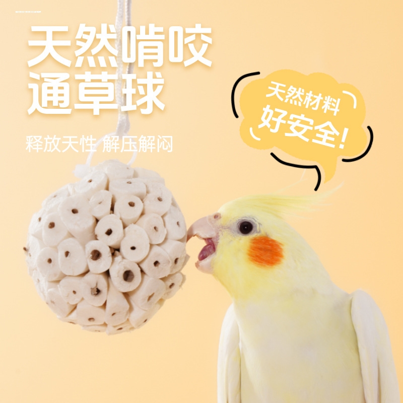 鸟用天然啃咬玩具通草球咀嚼解压啃咬解闷玄鸟虎皮鹦鹉趣味玩具球