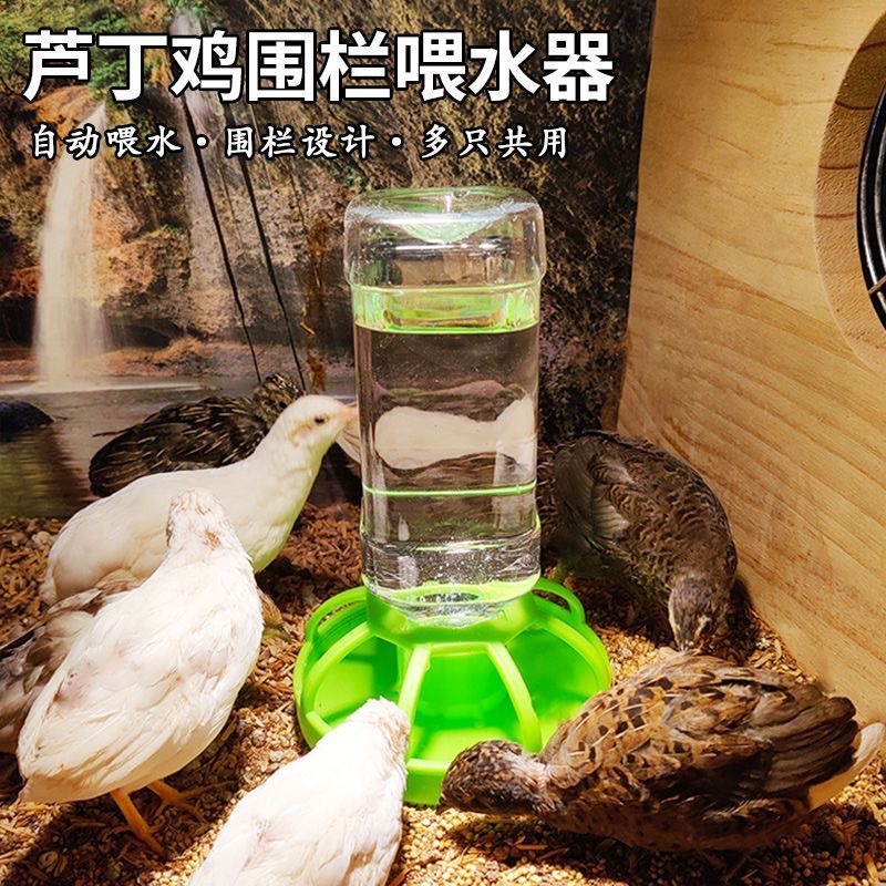 乌龟水盆食盆自动饮水器喝水盘半