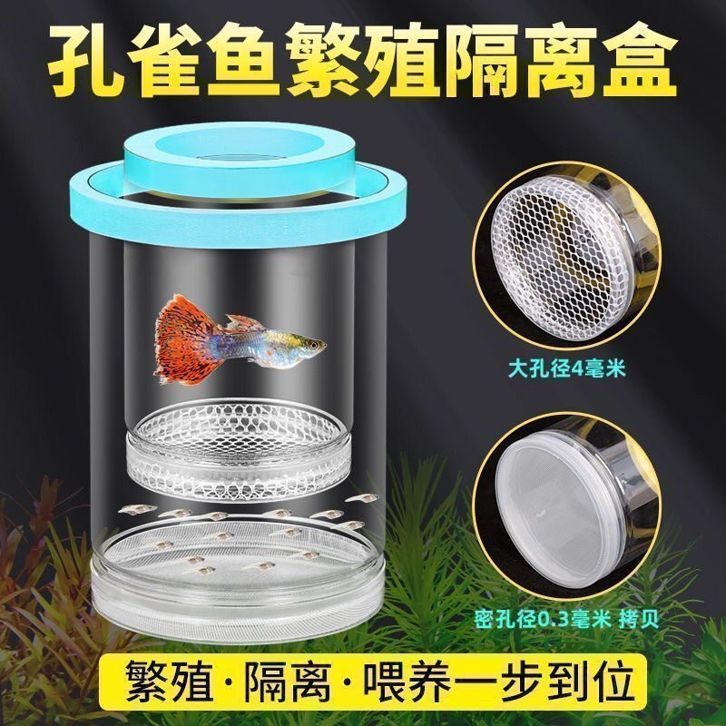 幼鱼孔雀鱼孵化罐隔离盒小鱼产房悬浮式吸盘式凤尾鱼透明繁殖桶