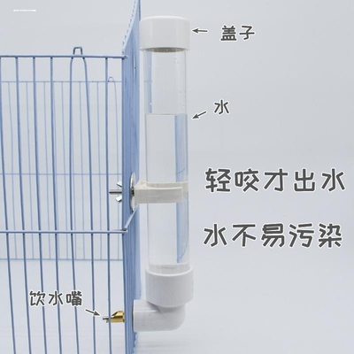 撞针水壶饮水器玻璃大容量龙猫兔子荷兰猪土拨鼠鹦鹉松鼠静音猫狗