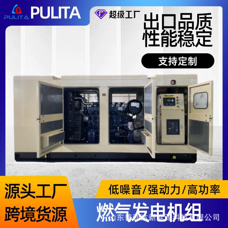 跨境定制潍柴250kw天然气发电机cngLNG热电联产机组大功率三相