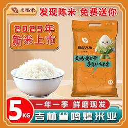 2025年新大米5kg榆树长粒香大米口感香糯东北黑土地大米真空包装