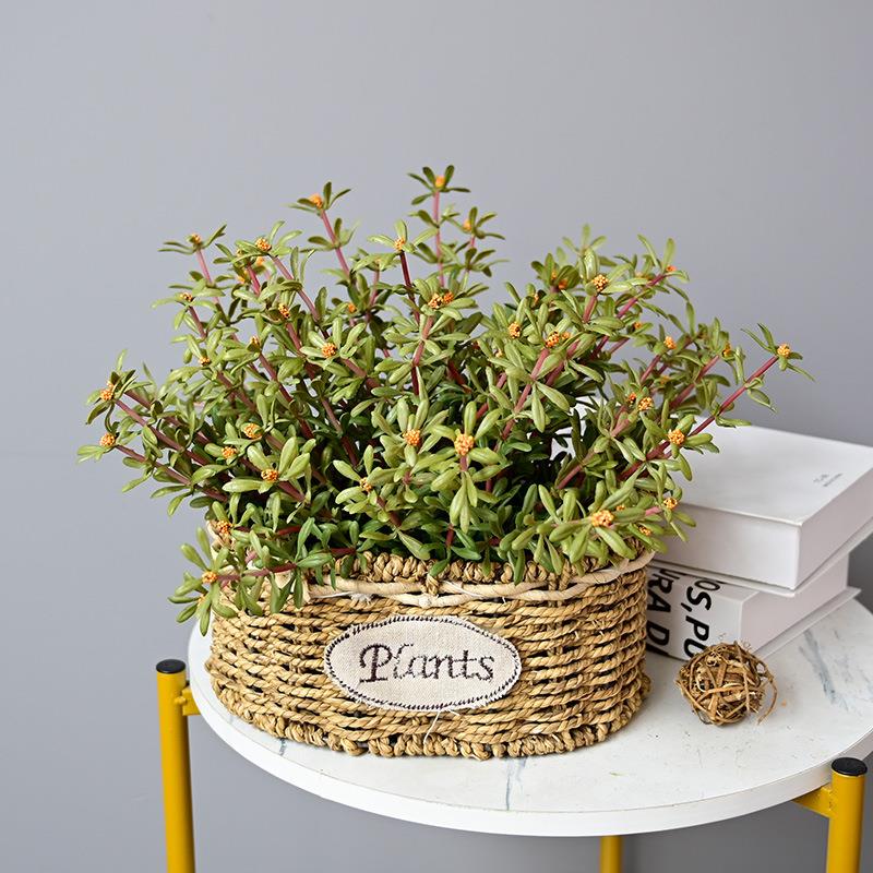 手感桃金娘仿真植物高阔叶马齿苋太阳花家居阳台装饰盆栽多肉植物