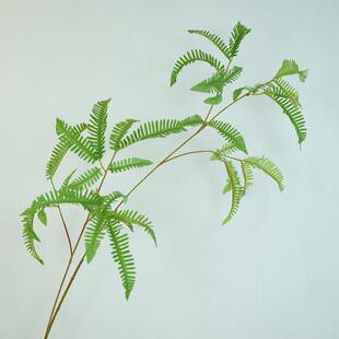 芒萁蕨仿真绿植大枝蕨叶大型落地装饰摆件蕨类植物墙配材园林造景