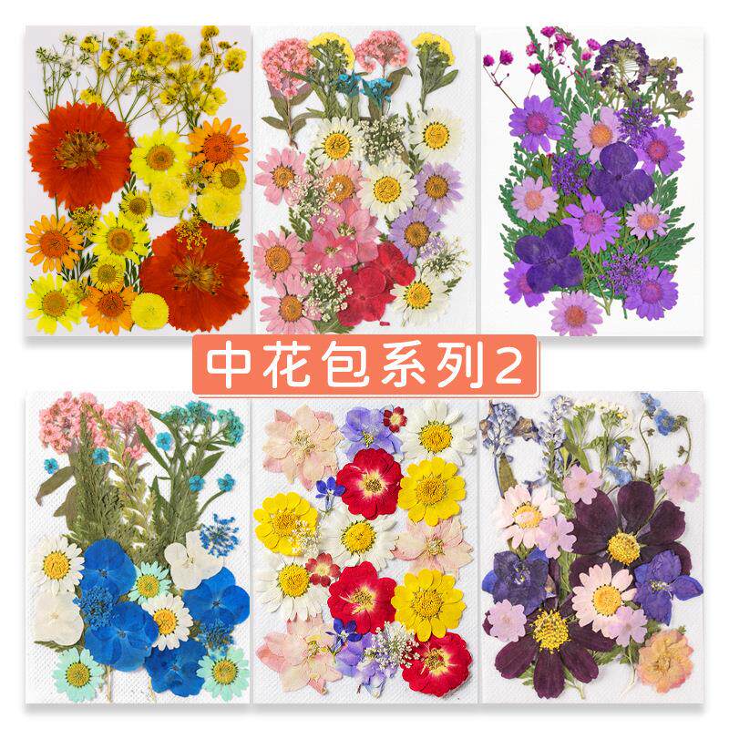 干花压花组合包 diy手工滴胶相框团扇押花材料包真花树叶植物标本