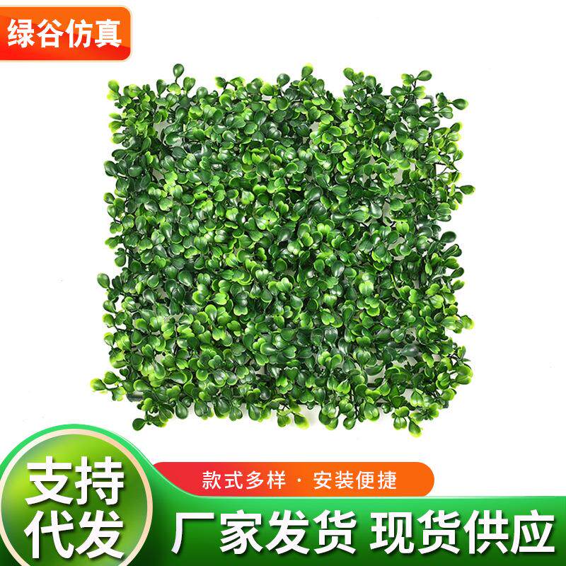 绿谷仿真 25*25米兰81棵草绿植背景墙塑料墙门头室内装饰绿植花墙