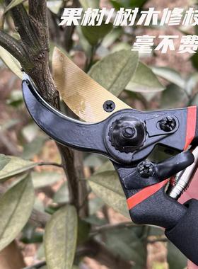新款黑色省力修枝剪园艺园林剪果树剪枝海绵柄修树剪子花艺剪