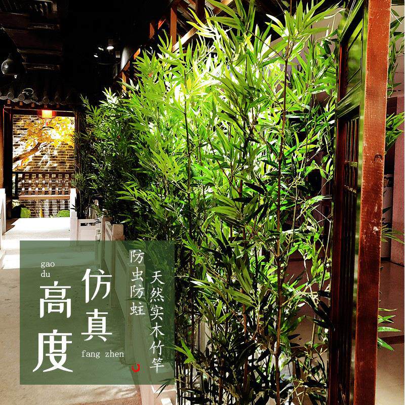 假竹子植物室内隔断屏风客厅酒店景观橱窗绿植竹子装饰真竹子