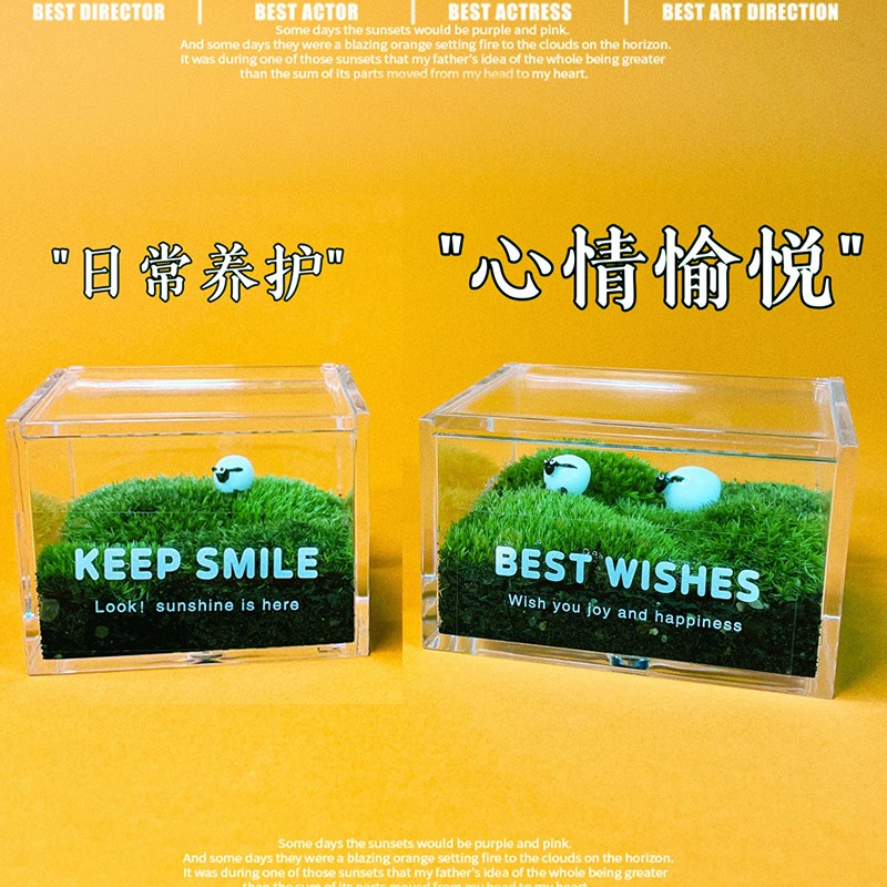 办公室工位桌面摆件苔藓微景观生态瓶小盆栽绿植桌面造景植物迷你