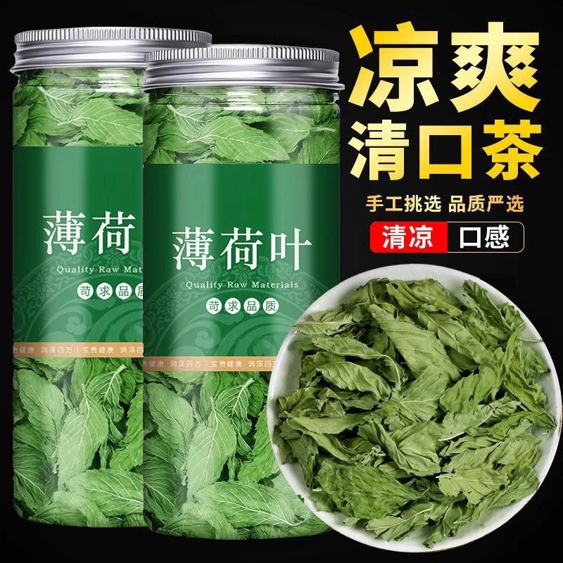 薄荷叶新鲜干薄荷茶叶食用泡茶水喝的东西搭特级清凉凉茶冷泡调酒图片