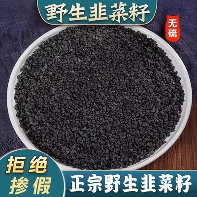 正品野生韭菜籽新货中药材