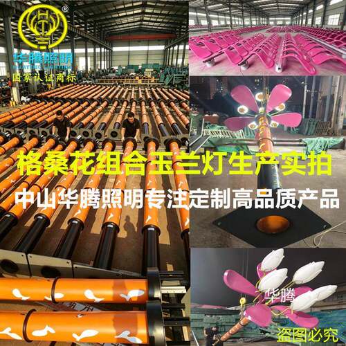 华定BOX制玉兰观灯中华灯led异市政景观形腾艺术景灯路灯生产厂家