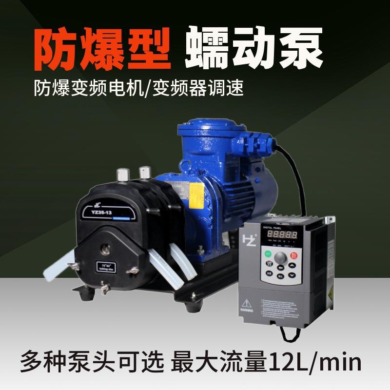 工业型防爆蠕动泵FT600-2J系列变频器控制工业生产精细化工制药泵