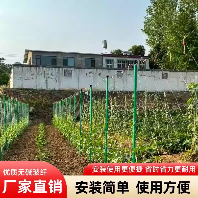 新型农用搭c棚遮阳支撑杆代替钢管水泥柱抗玻璃纤维空心管瓜果立 - 实物图