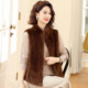 阔太太立领洋气仿皮毛一体仿皮草坎肩 台格仿貂绒马夹女秋冬妈妈装