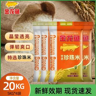 金龙鱼珍珠米5kg*4袋整箱40斤圆粒米粳米非真空包装家用特选大米