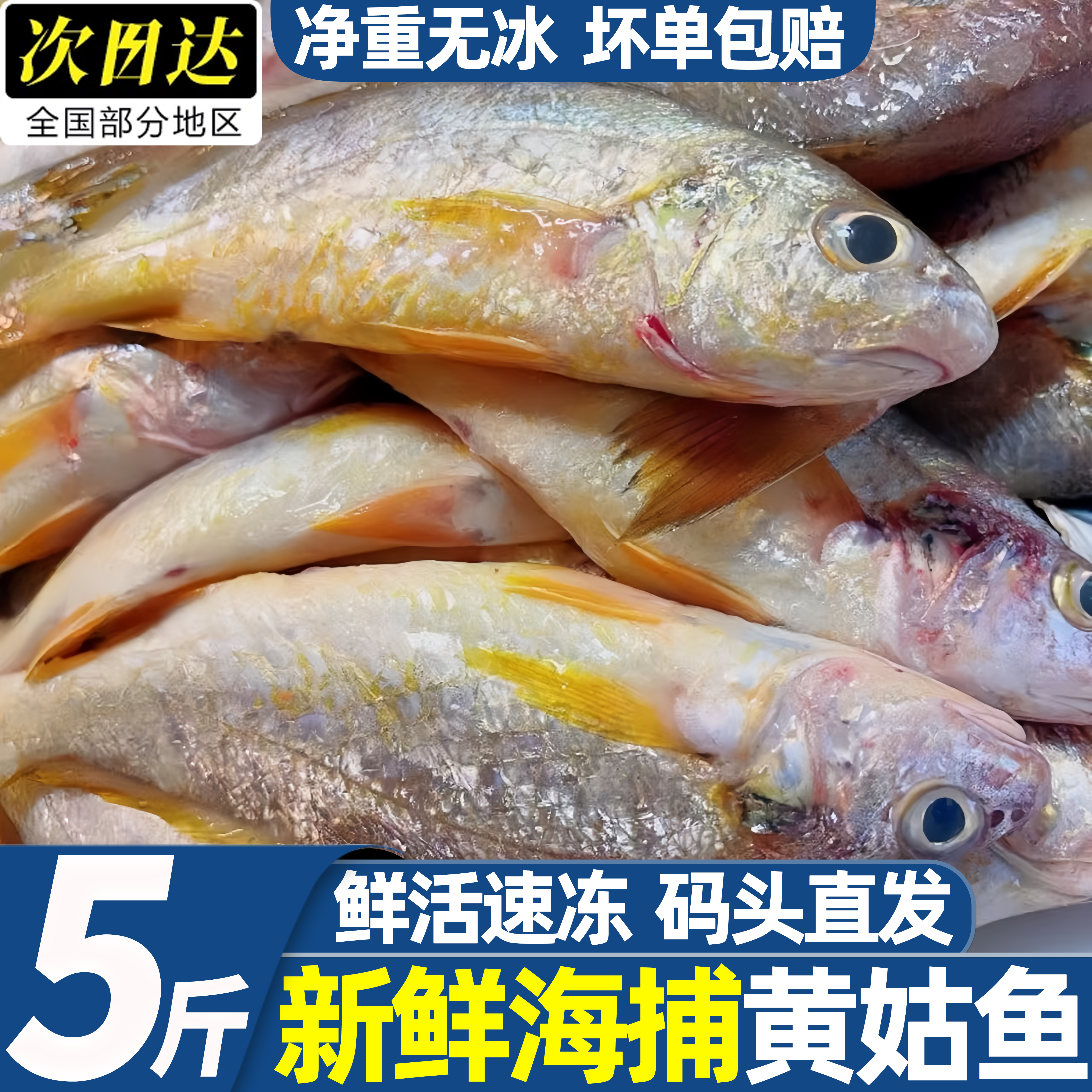 冷冻无冰小黄姑鱼商用批发