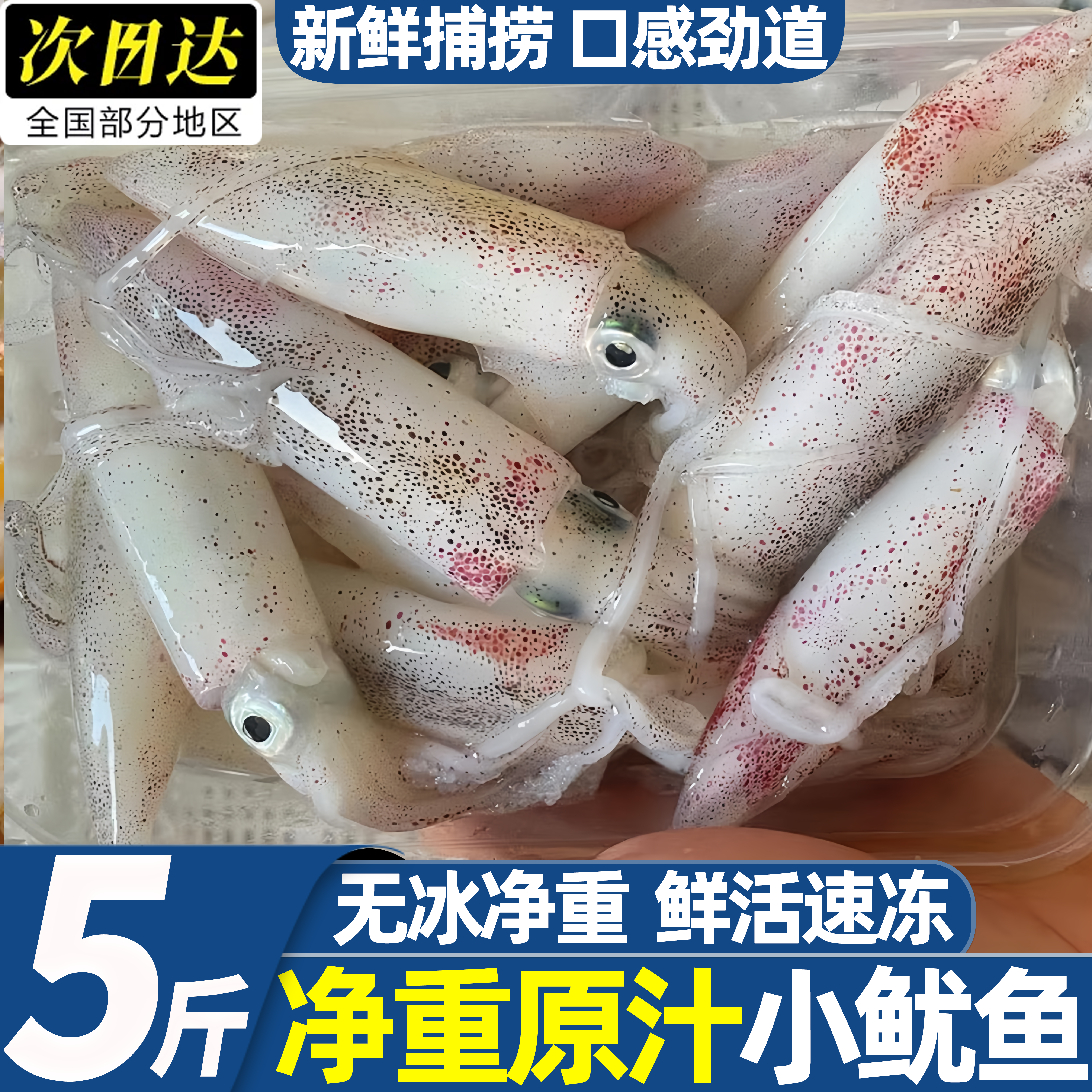 冷冻鱿鱼小管大笔管鱼商用批发