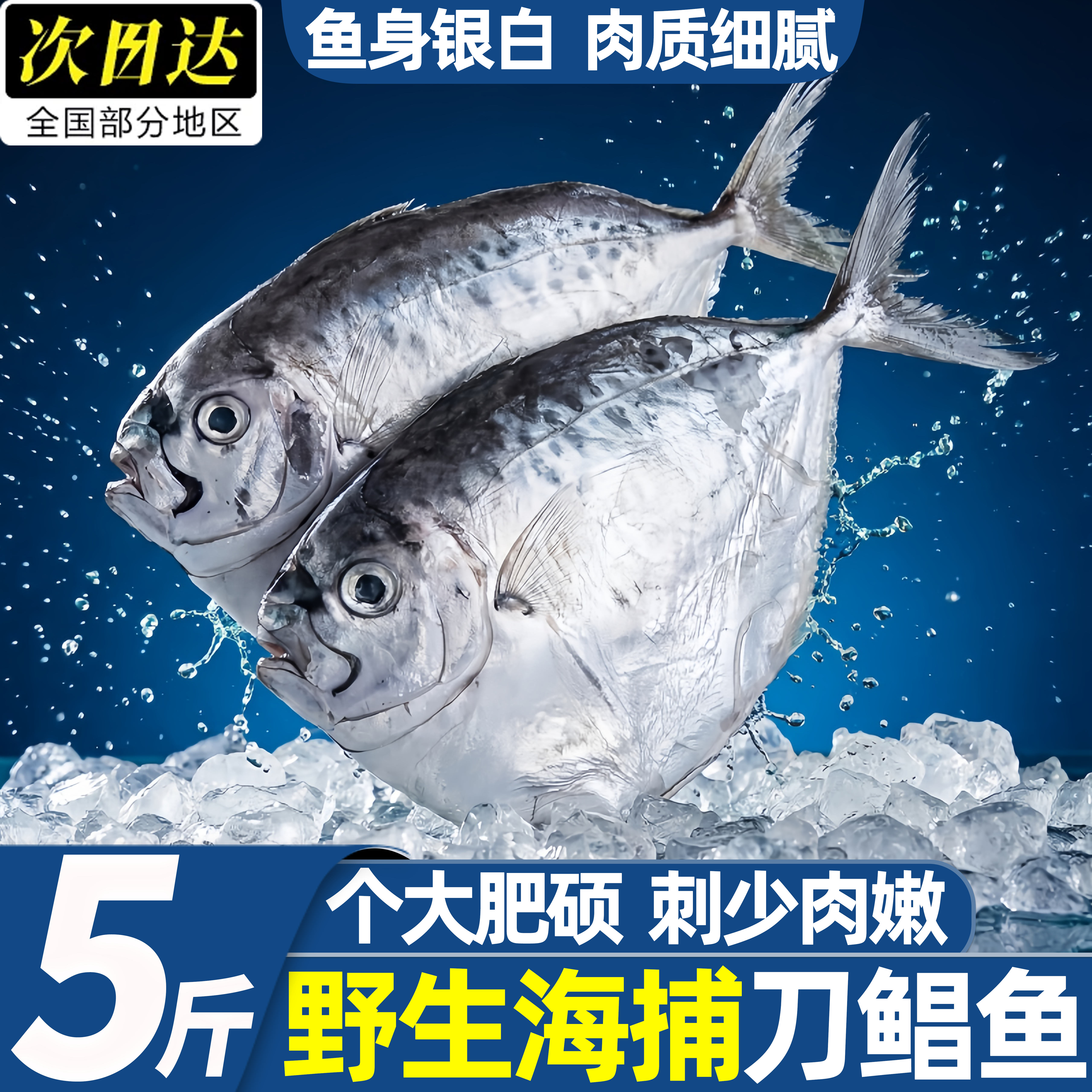 东海深海刀鲳鱼新鲜冷冻批发