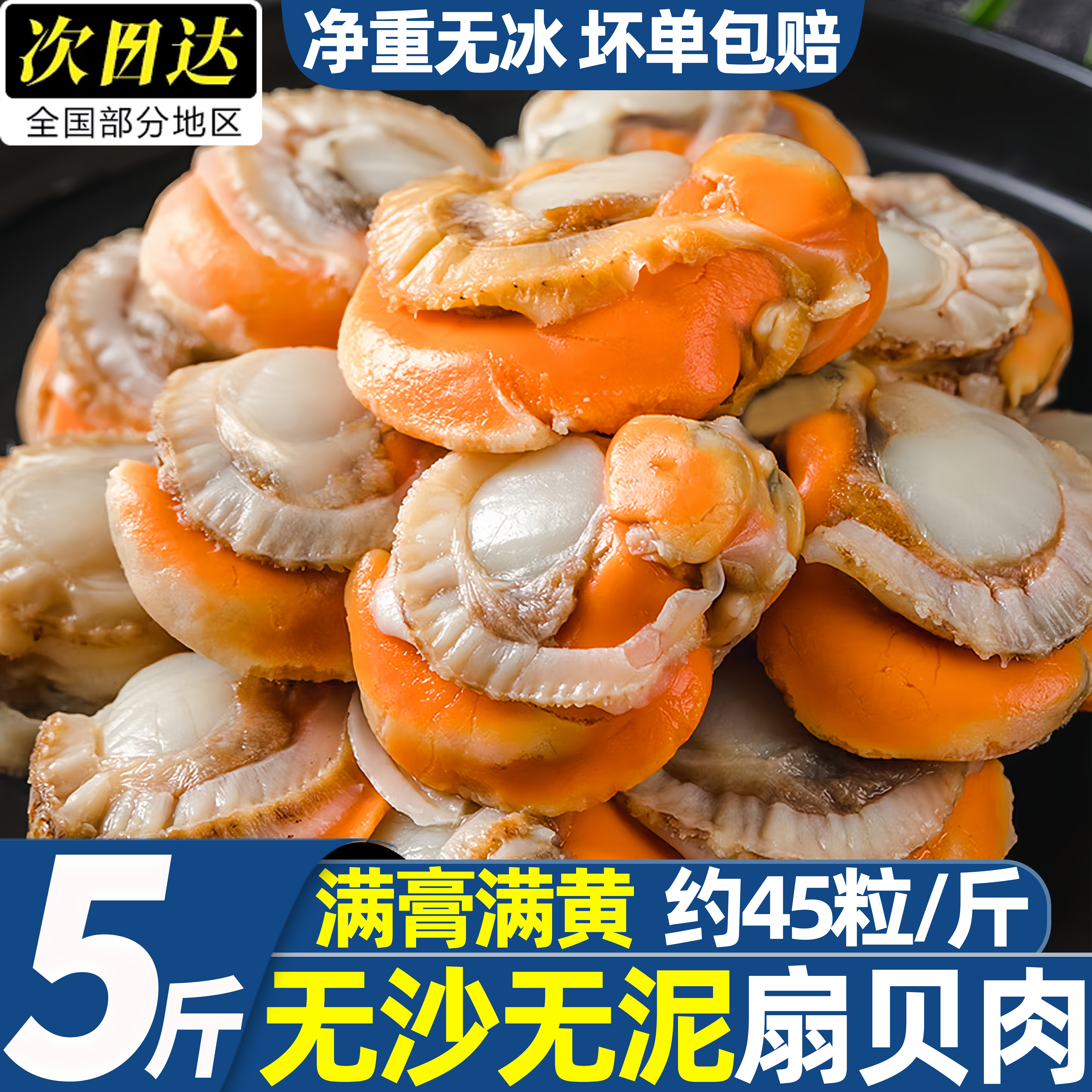 威海新鲜冷冻特级大号扇贝肉批发