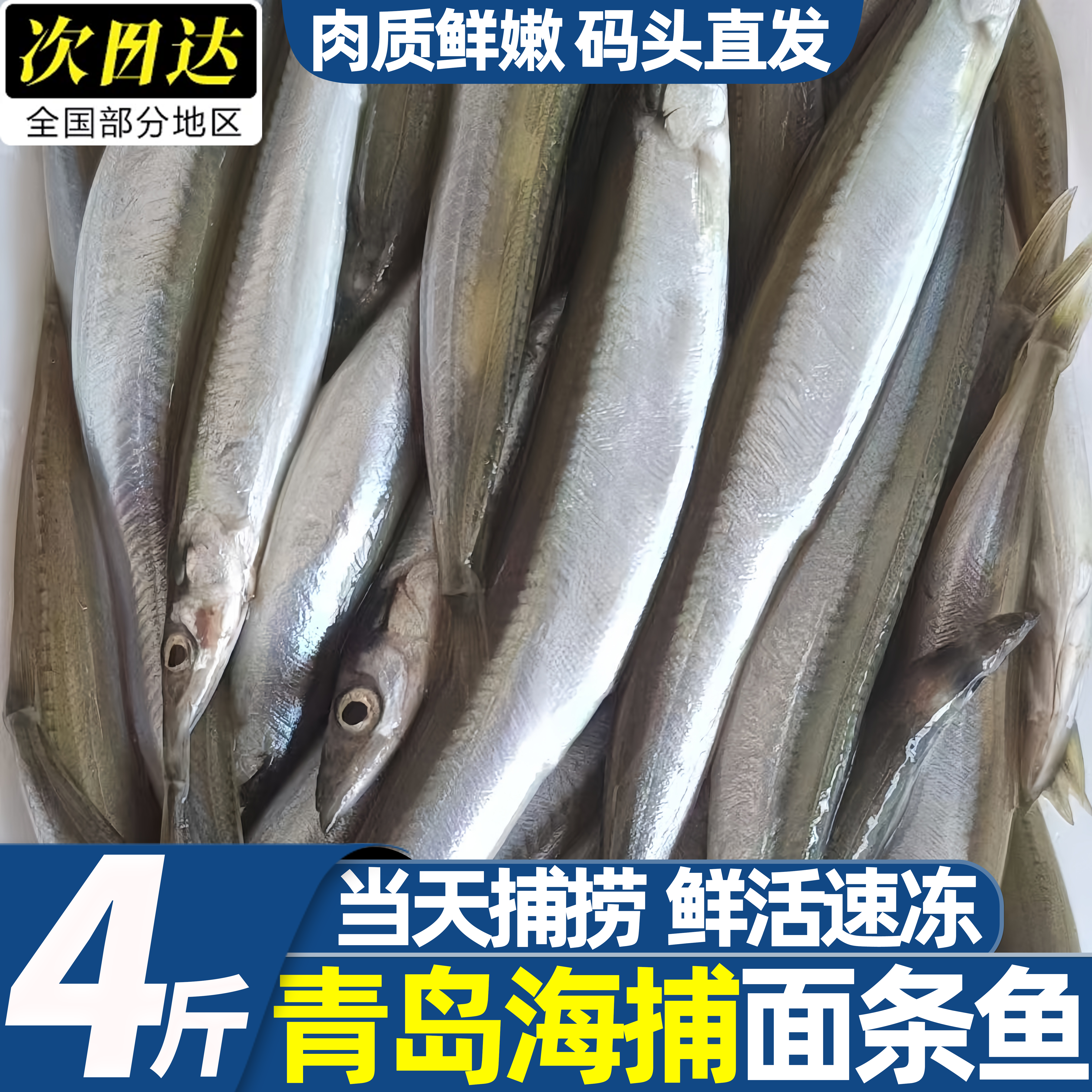 青岛海捕鲜冻面条鱼批发