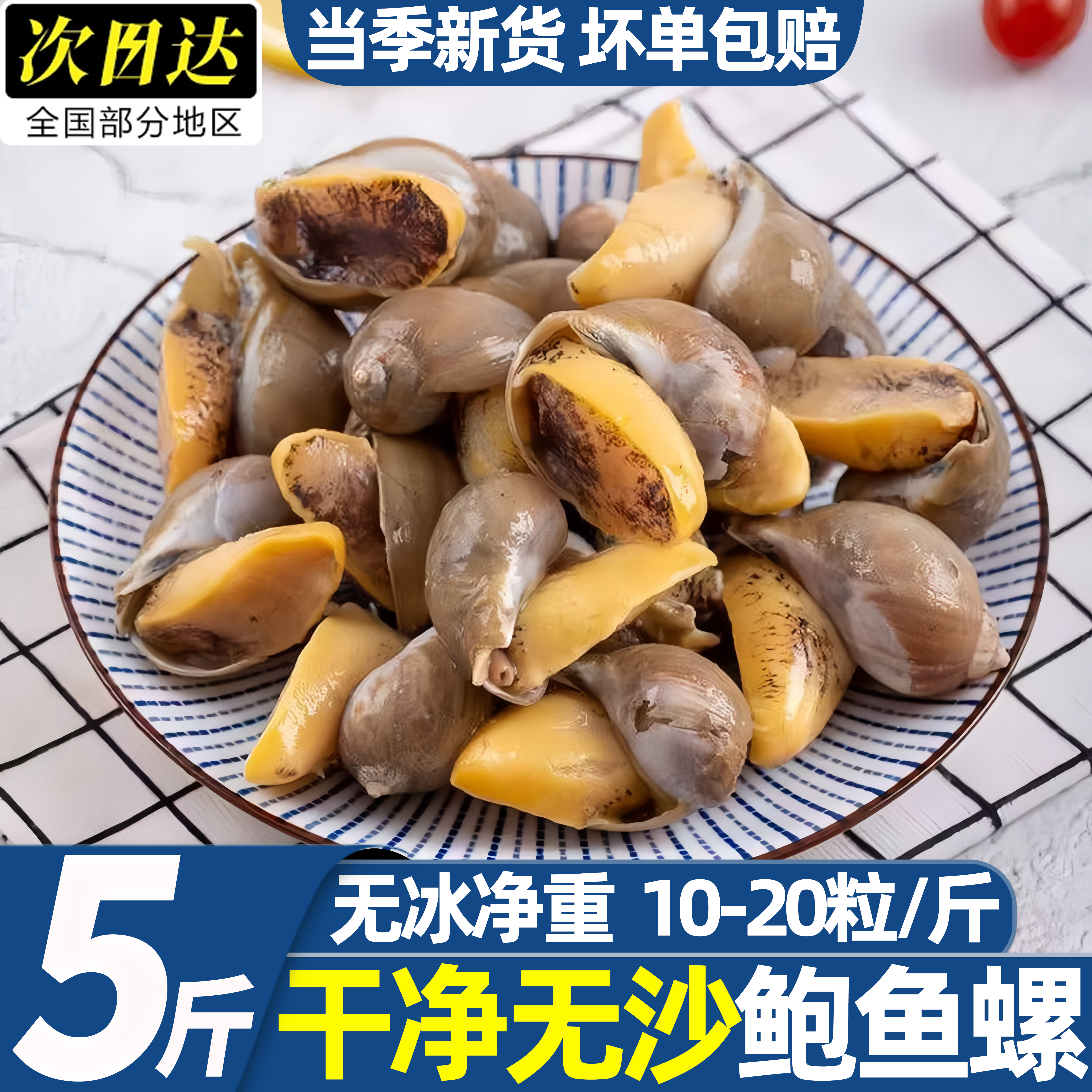 特大号黄金鲍鱼螺纯干速冻批发