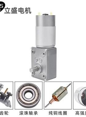 5840-555微型直流减速涡轮蜗杆电机大I扭矩小马达12v24v可调速