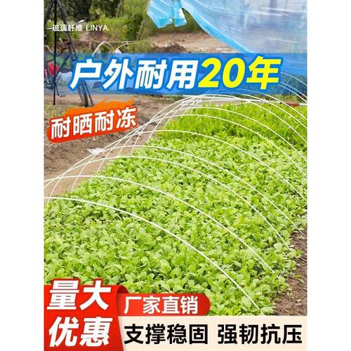 大棚骨架玻璃纤维小拱棚支架搭棚家用蔬菜塑料温室大棚拱杆玻璃钢