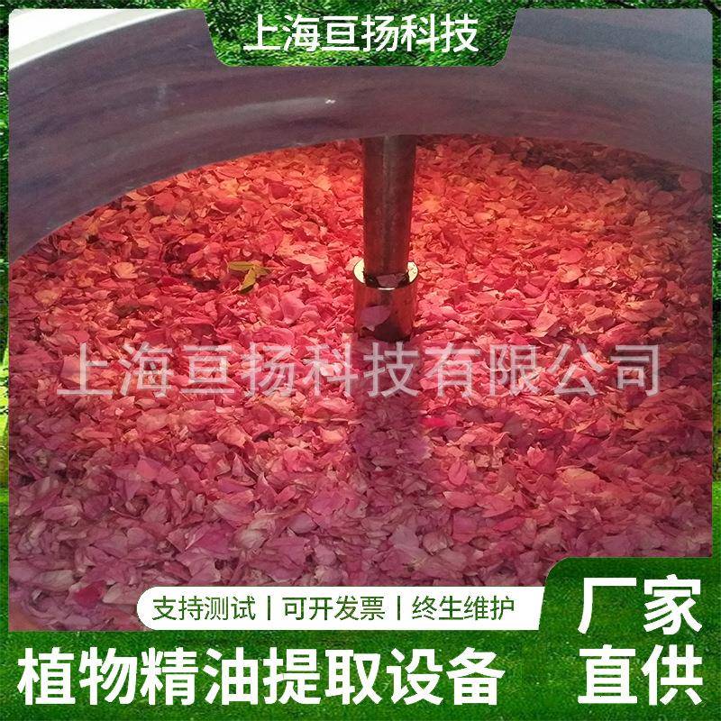 玫瑰精油蒸馏提取生产设备玫瑰纯露水汽蒸馏设备