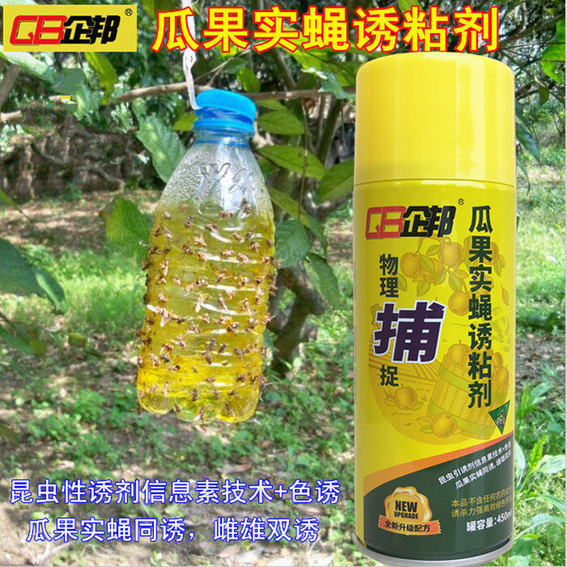 瓜果实蝇针蜂诱粘剂 果蝇昆虫诱黏 果园针蜂诱捕剂 引诱剂诱捕器