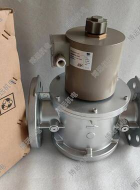 SG65FQ/220施能电磁阀SG80FQ/220 SG100FQ/220 SG50FQ/220