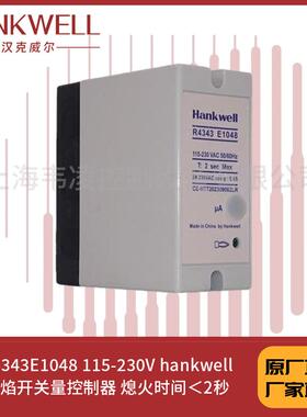 R4343E1048 115-230V hankwell火焰开关量控制器 熄火时间＜2秒