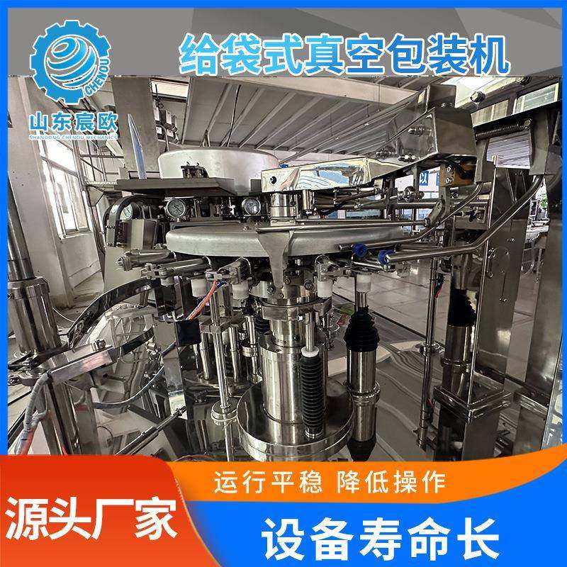 固体颗粒自动包装机 给袋式真空包装机 全自动玉米海参真空包装机