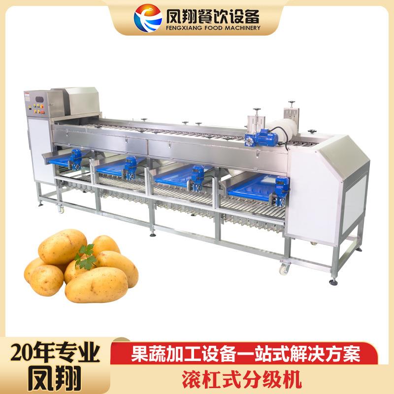 工厂生产土豆苹果梨洋葱西红柿橙子奇异果球茎类果分级机