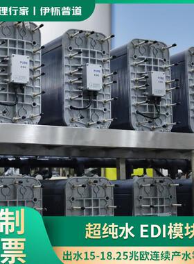 EDI除盐设备工业去离子水 反渗透电子级EDI超纯水设备维修EDI膜堆