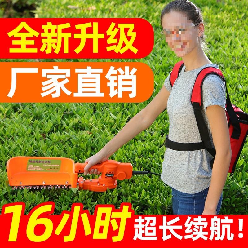 电动采茶机采摘手持电动机单人绿化绿篱剪茶叶茶树修剪多档